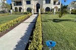 Home automation installation by PROJECT: automate Bel Air